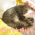 091022-【猫アニメ】見解の相違にゃ・・・