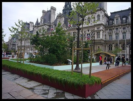 P2060107