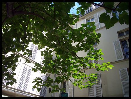 P2060442