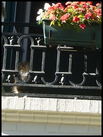 P2180858