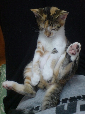 2009072501