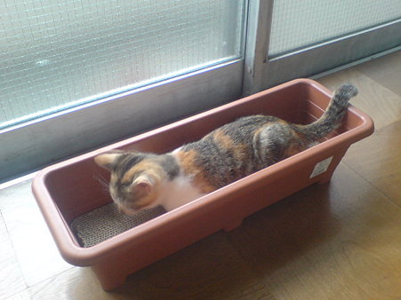 2009072802