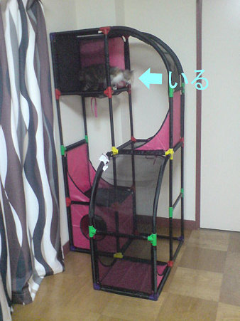 2009080503