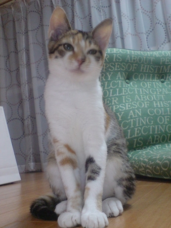 2009081401