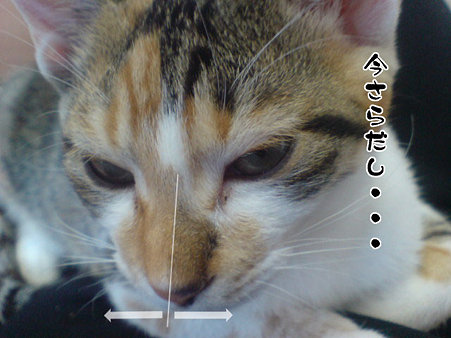 2009081605