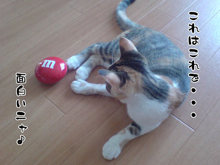 2009081705