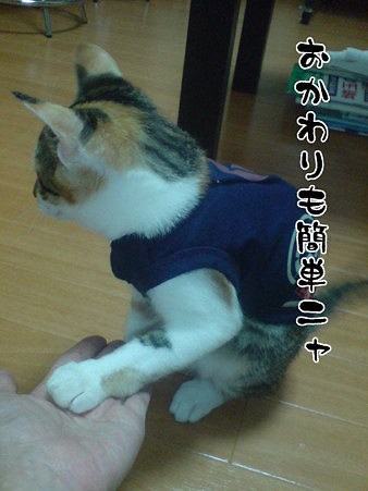 2009081803