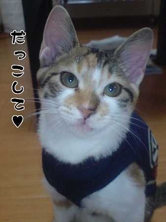 2009081801