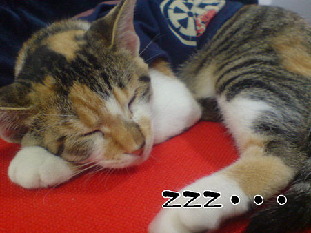 2009081901