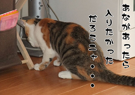 2009082104