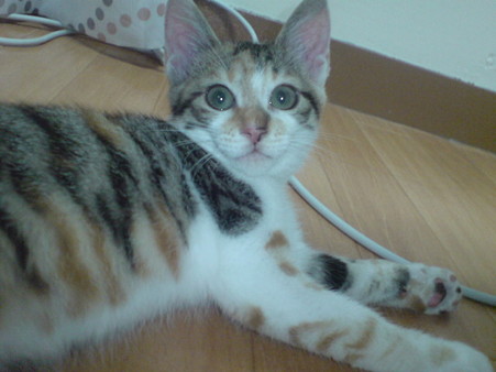20090708
