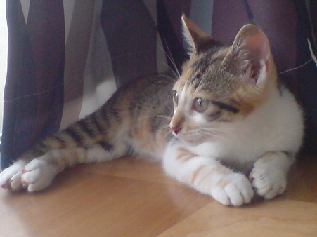 2009071001