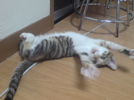 2009072002