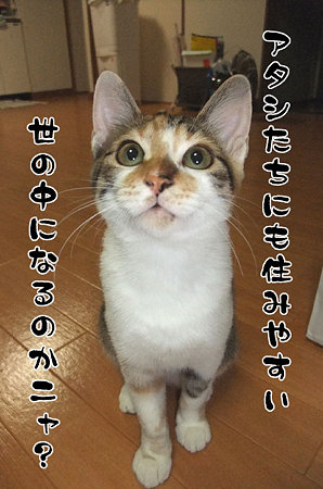 2009083001