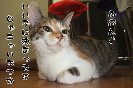 2009090203