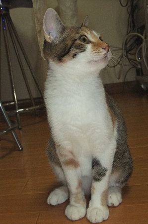 2009090402