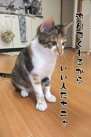 2009091903