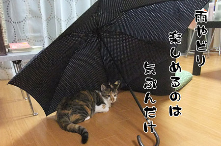 2009100501