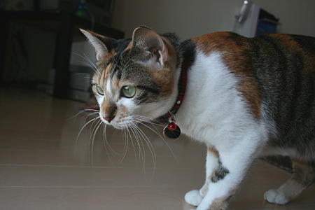 2011010405
