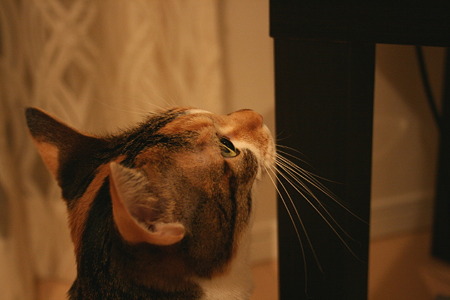 2011020101