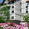 Photos: 123 中庭に咲く花々 2009年6月1日撮影 by ホテルグリーンプラザ軽井沢
