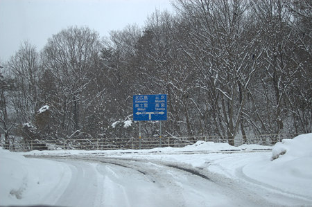 IMGP1575