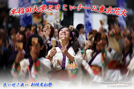 早稲田大学よさこいチーム東京花火_09 - 良い世さ来い2010 新横黒船祭