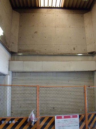 DSCN8891