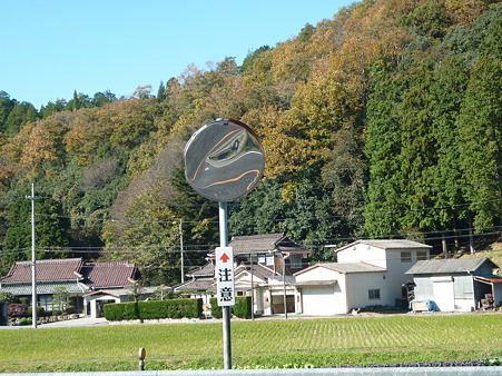 P1010558