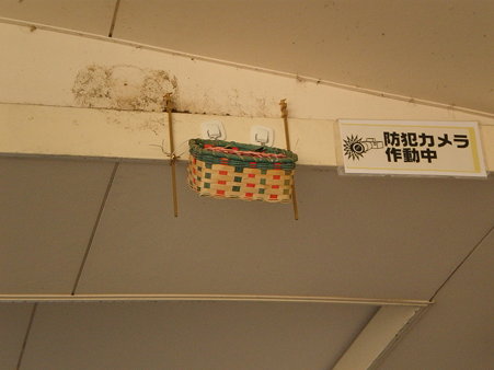 ピエスタのツバメの巣