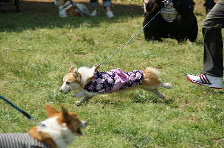 DSC05841
