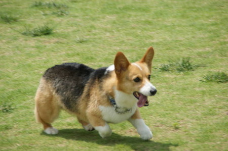 DSC06355