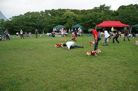 DSC08851