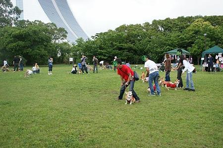 DSC08853