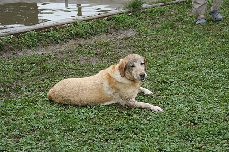 DSC00446
