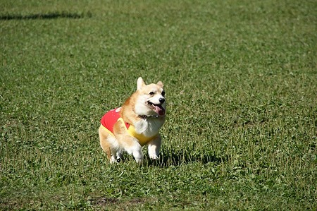 DSC01701