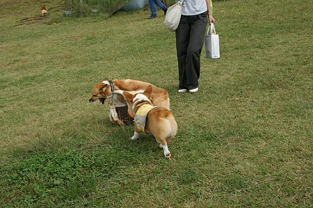 DSC02486