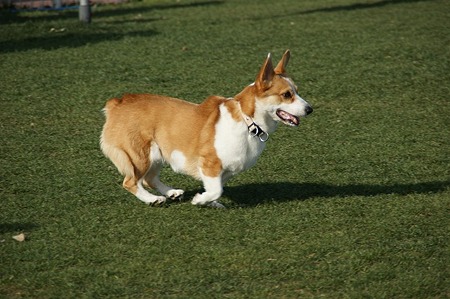 DSC06600