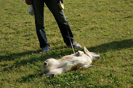 DSC00216