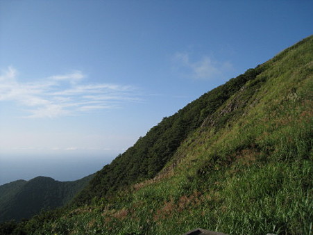 12Y山
