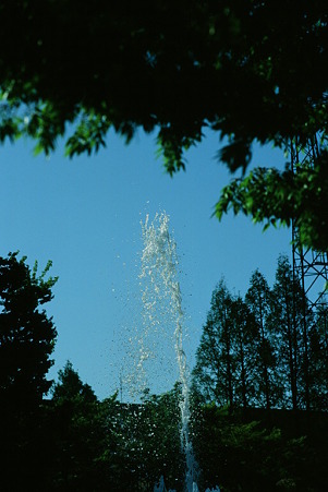CONTAX159MM_FUJI_Velvia50_05052011-04