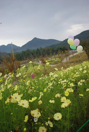 IMGP8297_1022