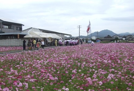 DSCF6150_1106