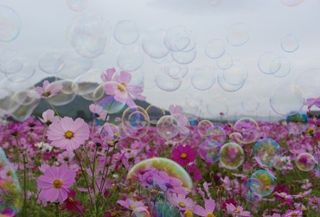 IMGP9601_1106