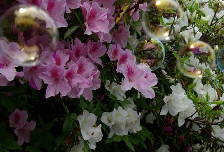 IMGP0049_0503