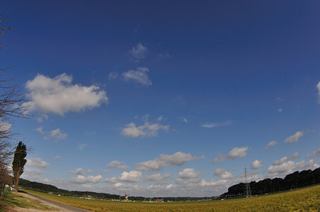 DSC_0206_1549