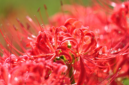 DSC_0009_1561