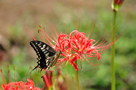 DSC_0025_1572