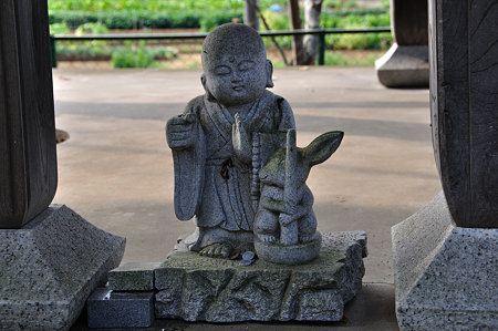 DSC_0009_1593