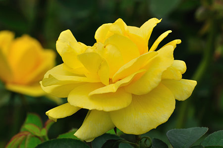 DSC_0051_1656